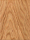 Rotary White Birch